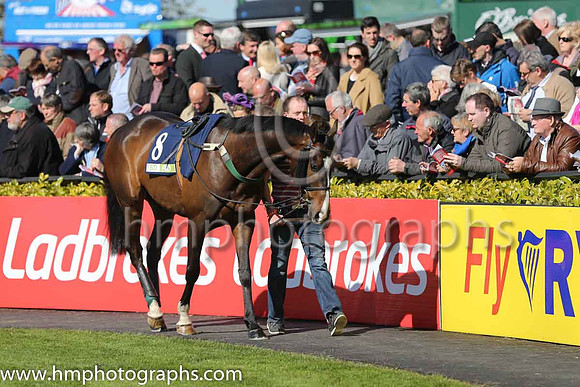 11th U Josies Orders ( 8 , orange and green hoops ) and D. O'Connor - Trainer : E. Bolger - Owner : John P. McManus