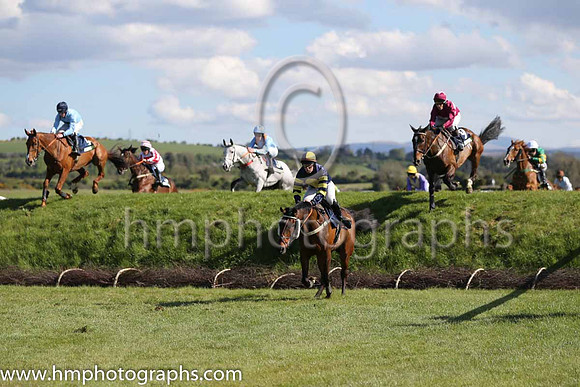 08th F Ballyboker Bridge ( 2 , black, yellow spot ) and G.L. Murphy (7) - Trainer : Peter Maher - Owner : Ms. H.T. Clarke McKeon at Ruby's Double