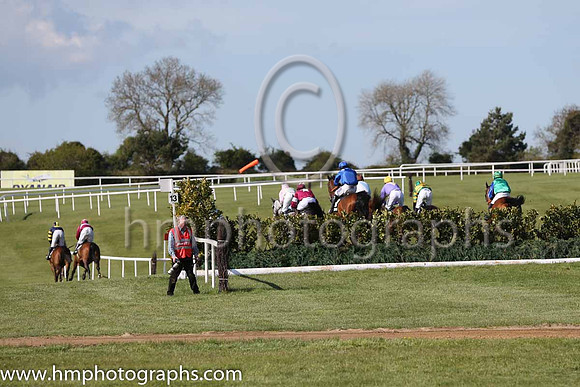 Laurel Hedge