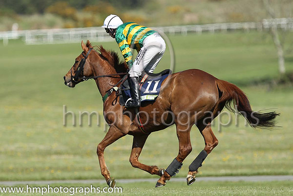 02nd Quantitativeeasing ( 11 , orange and green hoops ) and N. Carberry - Trainer : E. Bolger - Owner : John P. McManus