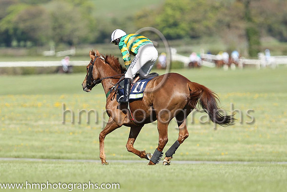 02nd Quantitativeeasing ( 11 , orange and green hoops ) and N. Carberry - Trainer : E. Bolger - Owner : John P. McManus