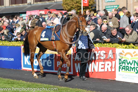 03rd Keep On Track ( 4 , light blue, three dark blue spots ) and A.E. Lynch - Trainer : I. R. Ferguson - Owner : W. Porter