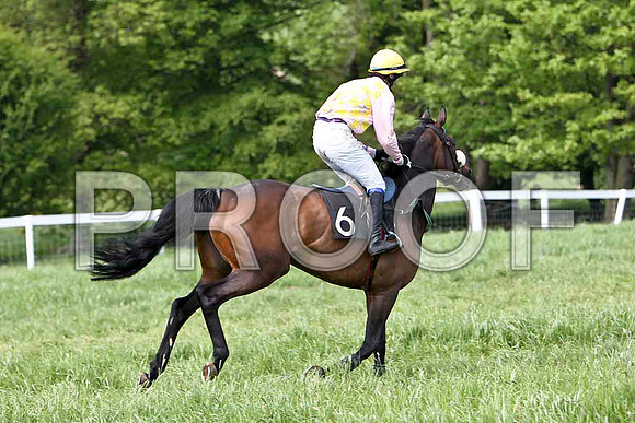 Fifth Race Div 1 - Lady shirley (6) 3rd, Rider B G Crawford- CU2D9646-e