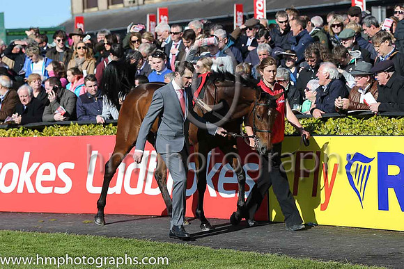 02nd Hurricane Fly ( 3 , blue, three green diamonds ) and R. Walsh - Trainer : W.P. Mullins - Owner : George Creighton/Mrs Rose Boyd