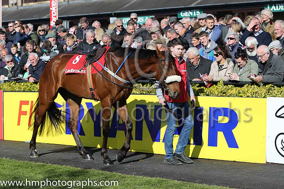 10th Lots Of Memories ( 8 , white, green stars, yellow sleeves ) and P.D. Kennedy - Trainer : P.G. Fahey - Owner : Mrs Siobhain Fahey/John A. Breen