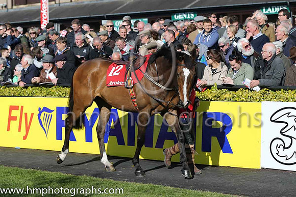 08th Zaidpour (FR) ( 12 , pink, light green stars ) and D.J. Casey - Trainer : W.P. Mullins - Owner :