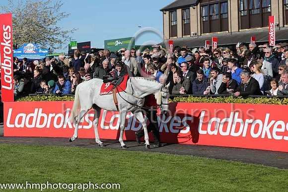 07th Thousand Stars (FR) ( 9 , red, blue sleeves ) and P. Townend - Trainer : W.P. Mullins - Owner : Hammer &amp; Trowel Syndicate