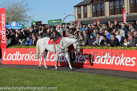 07th Thousand Stars (FR) ( 9 , red, blue sleeves ) and P. Townend - Trainer : W.P. Mullins - Owner : Hammer &amp; Trowel Syndicate