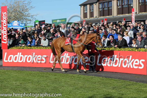 03rd Zabana ( 11 , red and white stripes ) and R.C. Colgan - Trainer : Andrew Lynch - Owner : C.Jones