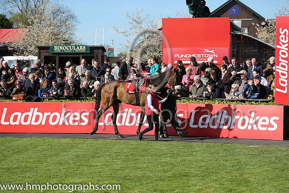 04th Lieutenant Colonel (GB) ( 7 , maroon, white star ) and J.J. Burke - Trainer : Ms. Sandra Hughes - Owner :