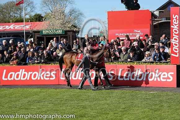 02nd Hurricane Fly ( 3 , blue, three green diamonds ) and R. Walsh - Trainer : W.P. Mullins - Owner : George Creighton/Mrs Rose Boyd