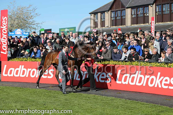 02nd Hurricane Fly ( 3 , blue, three green diamonds ) and R. Walsh - Trainer : W.P. Mullins - Owner : George Creighton/Mrs Rose Boyd