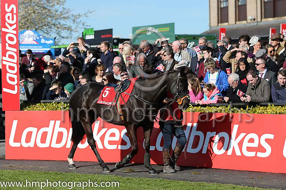 06th Jetson ( 5 , orange, black star ) and D.N. Russell - Trainer : Mrs John Harrington - Owner : G.McGrath/Mrs Moira McGrath