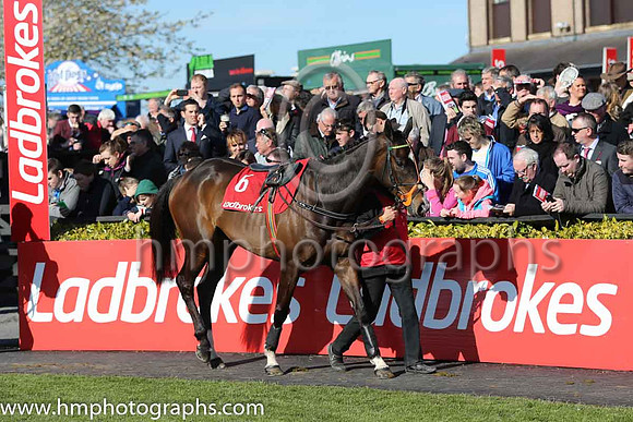 01st Jezki ( 6 , orange and green hoops ) and M.P. Walsh - Trainer : Mrs John Harrington - Owner :