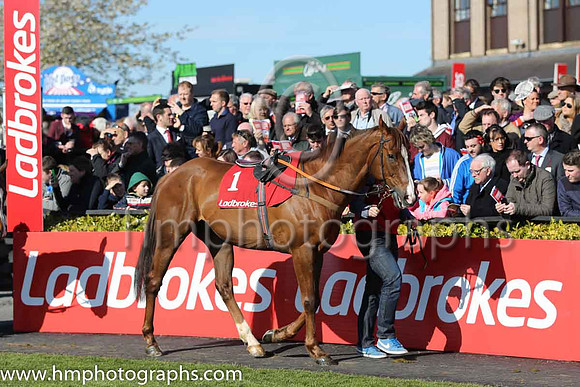 09th Captainofthefleet ( 1 , green. Red inverted tirangle ) and E. O'Connell - Trainer : Eamonn O'Connell - Owner : Ab Initio Syndicate