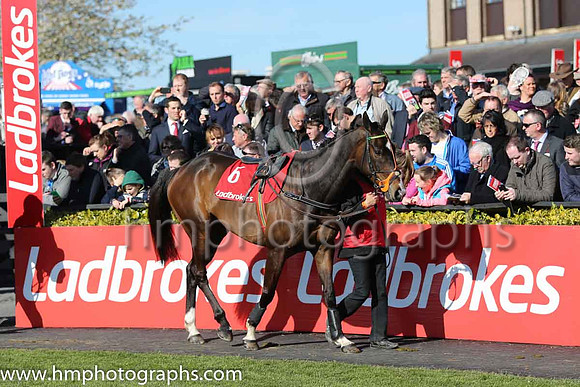 01st Jezki ( 6 , orange and green hoops ) and M.P. Walsh - Trainer : Mrs John Harrington - Owner :
