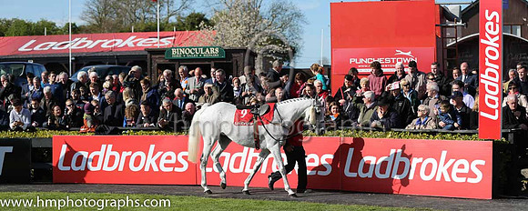 07th Thousand Stars (FR) ( 9 , red, blue sleeves ) and P. Townend - Trainer : W.P. Mullins - Owner : Hammer &amp; Trowel Syndicate