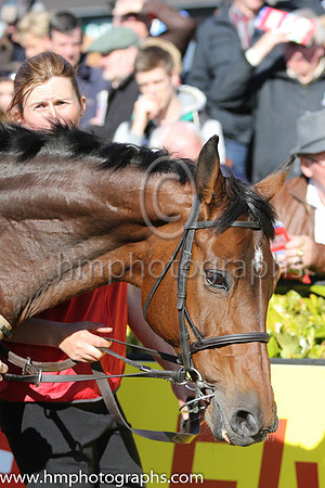 02nd Hurricane Fly ( 3 , blue, three green diamonds ) and R. Walsh - Trainer : W.P. Mullins - Owner : George Creighton/Mrs Rose Boyd