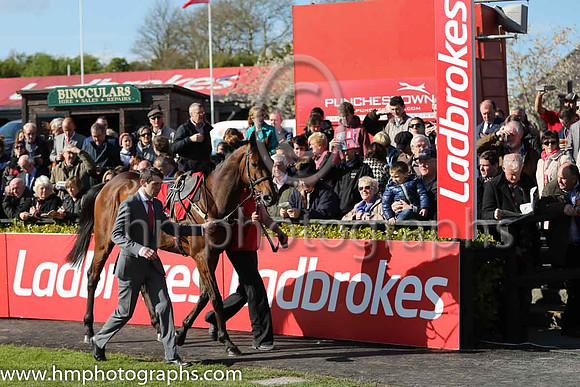 02nd Hurricane Fly ( 3 , blue, three green diamonds ) and R. Walsh - Trainer : W.P. Mullins - Owner : George Creighton/Mrs Rose Boyd