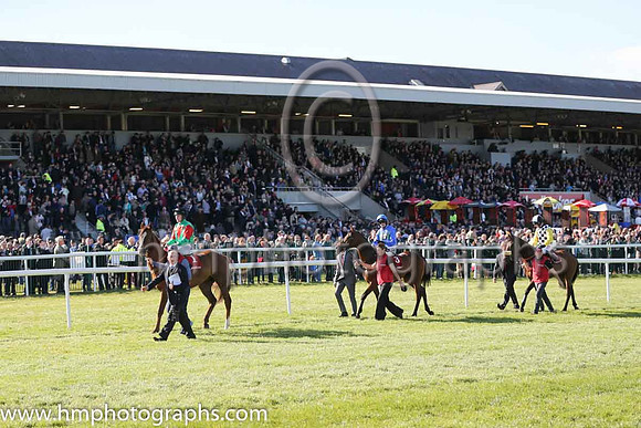 09th Captainofthefleet ( 1 , green. Red inverted tirangle ) and E. O'Connell - Trainer : Eamonn O'Connell - Owner : Ab Initio Syndicate and 02nd Hurricane Fly ( 3 , blue, three green diamonds ) and R.