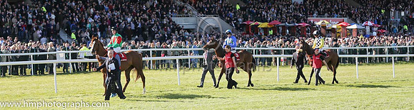 09th Captainofthefleet ( 1 , green. Red inverted tirangle ) and E. O'Connell - Trainer : Eamonn O'Connell - Owner : Ab Initio Syndicate and 02nd Hurricane Fly ( 3 , blue, three green diamonds ) and R.