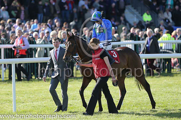02nd Hurricane Fly ( 3 , blue, three green diamonds ) and R. Walsh - Trainer : W.P. Mullins - Owner : George Creighton/Mrs Rose Boyd