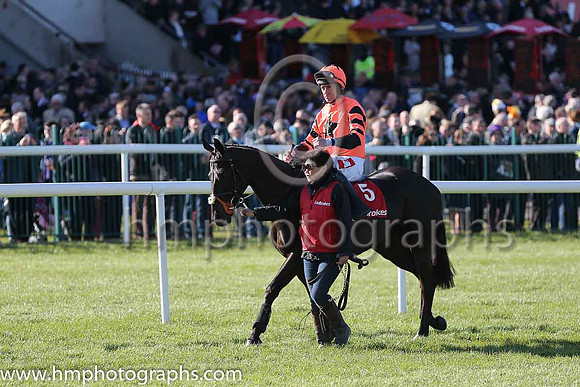 06th Jetson ( 5 , orange, black star ) and D.N. Russell - Trainer : Mrs John Harrington - Owner : G.McGrath/Mrs Moira McGrath