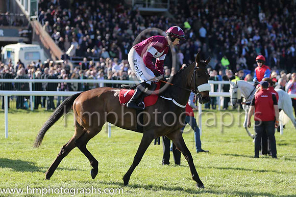 04th Lieutenant Colonel (GB) ( 7 , maroon, white star ) and J.J. Burke - Trainer : Ms. Sandra Hughes - Owner : Gigginstown House Stud