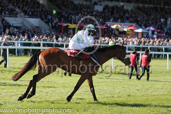 10th Lots Of Memories ( 8 , white, green stars, yellow sleeves ) and P.D. Kennedy - Trainer : P.G. Fahey - Owner : Mrs Siobhain Fahey/John A. Breen