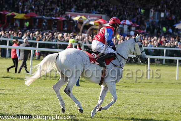 07th Thousand Stars (FR) ( 9 , red, blue sleeves ) and P. Townend - Trainer : W.P. Mullins - Owner : Hammer &amp; Trowel Syndicate
