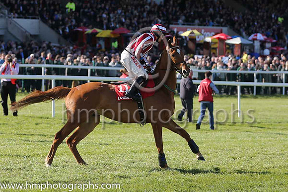 03rd Zabana ( 11 , red and white stripes ) and R.C. Colgan - Trainer : Andrew Lynch - Owner : C.Jones