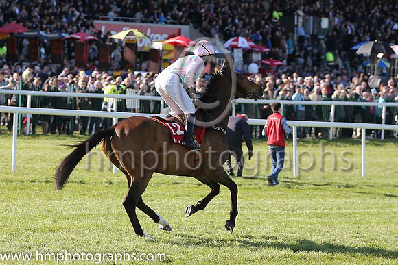 08th Zaidpour (FR) ( 12 , pink, light green stars ) and D.J. Casey - Trainer : W.P. Mullins - Owner : Mrs S Ricci