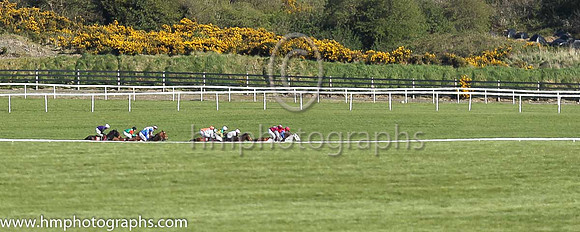 Ladbrokes World series Hurdle (Grade 1) at Punchestown