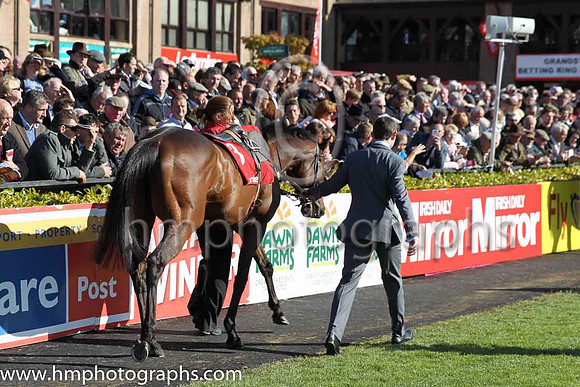 02nd Hurricane Fly ( 3 , blue, three green diamonds ) and R. Walsh - Trainer : W.P. Mullins - Owner : George Creighton/Mrs Rose Boyd