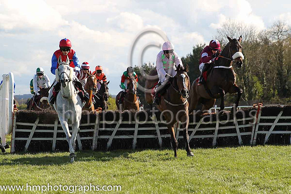 08th Zaidpour (FR) ( 12 , pink, light green stars ) and D.J. Casey - Trainer : W.P. Mullins - Owner : Mrs S Ricci