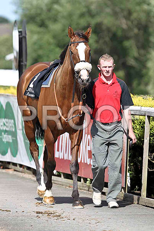 Munnings 6th - FT8E1350-e