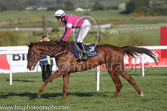 19th Killer Crow ( 3 , maroon, white star ) and M.P. Fogarty - Trainer : W.P. Mullins - Owner : Gigginstown House Stud