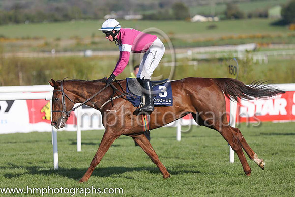 19th Killer Crow ( 3 , maroon, white star ) and M.P. Fogarty - Trainer : W.P. Mullins - Owner : Gigginstown House Stud