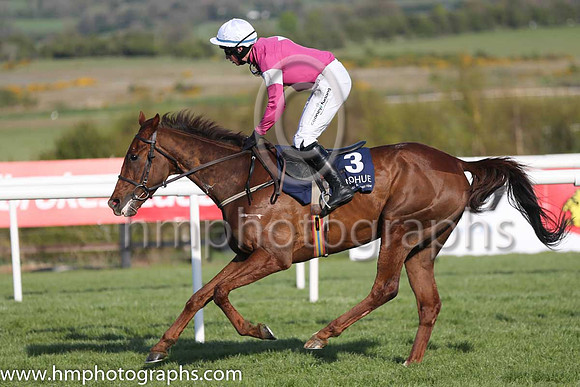 19th Killer Crow ( 3 , maroon, white star ) and M.P. Fogarty - Trainer : W.P. Mullins - Owner : Gigginstown House Stud