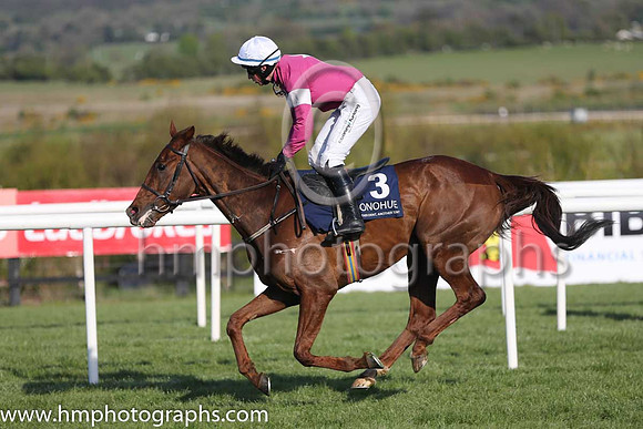 19th Killer Crow ( 3 , maroon, white star ) and M.P. Fogarty - Trainer : W.P. Mullins - Owner : Gigginstown House Stud