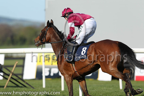 12th Horendus Hulabaloo ( 8 , maroon, white star ) and B.J. Cooper - Trainer : M.F.Morris - Owner : Gigginstown House Stud