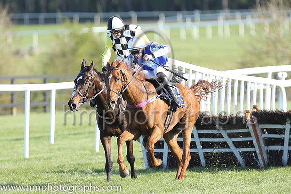 01st Avant Tout (FR) ( 2 , blue, light blue star ) and D.E. Mullins - Trainer : W.P. Mullins - Owner : Supreme Horse Racing Club/Brett T. Graham