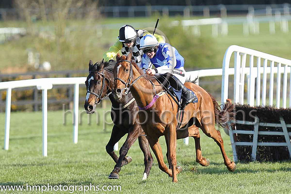 01st Avant Tout (FR) ( 2 , blue, light blue star ) and D.E. Mullins - Trainer : W.P. Mullins - Owner : Supreme Horse Racing Club/Brett T. Graham