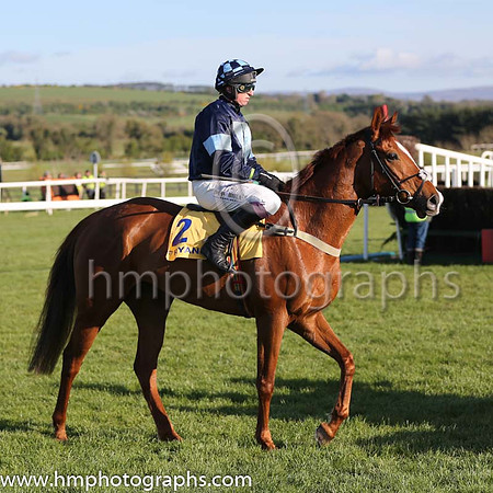 05th Melodic Rendezvous (GB) ( 2 , dark blue, light blue inverted triangle ) and J.J. Codd - Trainer : Jeremy Scott (in GB) - Owner : Cash For Honours