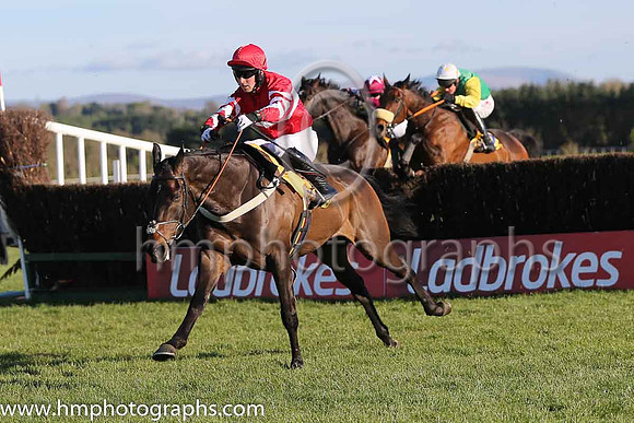 02nd Just Cameron (GB) ( 1 , red, white hoop ) and J. Colliver - Trainer : Micky Hammond (in GB) - Owner : Mr And Mrs Paul Chapman