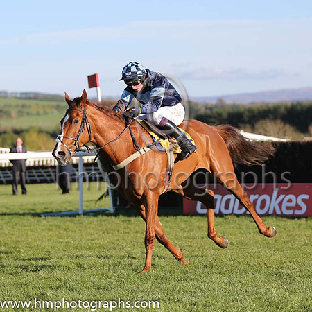 05th Melodic Rendezvous (GB) ( 2 , dark blue, light blue inverted triangle ) and J.J. Codd - Trainer : Jeremy Scott (in GB) - Owner : Cash For Honours