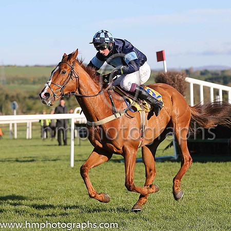 05th Melodic Rendezvous (GB) ( 2 , dark blue, light blue inverted triangle ) and J.J. Codd - Trainer : Jeremy Scott (in GB) - Owner : Cash For Honours