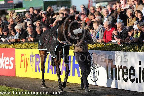 Orchid Transport Mares Novice Hurdle at Punchestown