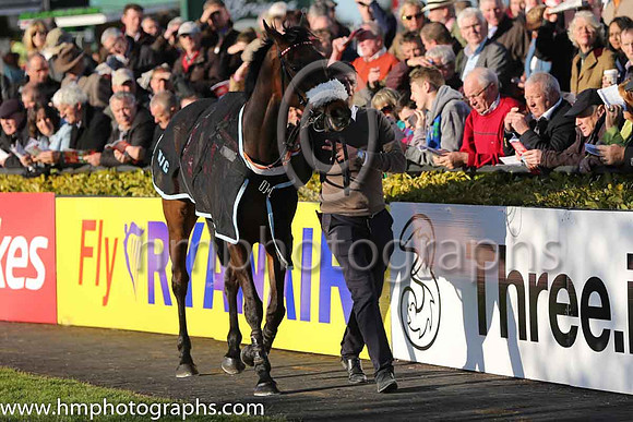 Orchid Transport Mares Novice Hurdle at Punchestown