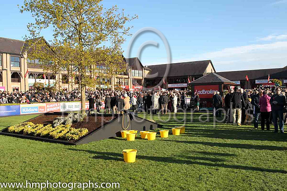 Orchid Transport Mares Novice Hurdle at Punchestown